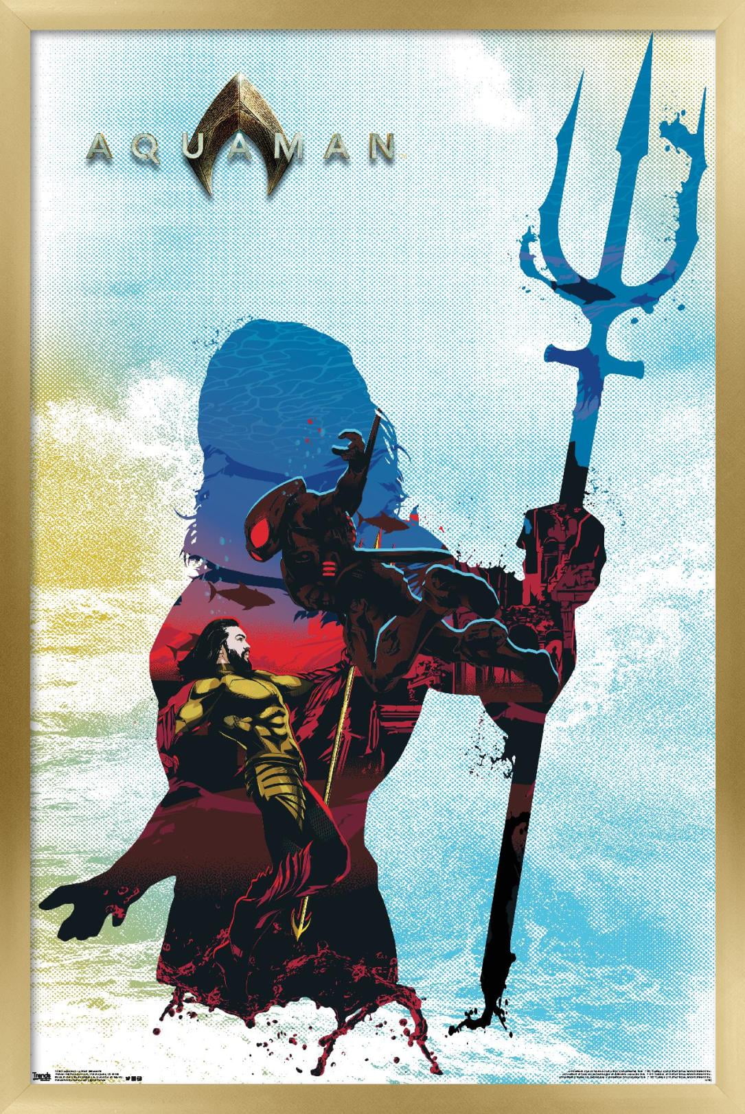 DC Comics Movie - Aquaman - Arthur Silhouette Wall Poster, 14.725" x 22.375", Framed