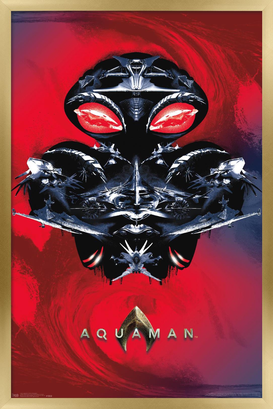DC Comics Movie - Aquaman - Manta Silhouette Wall Poster, 22.375" x 34", Framed