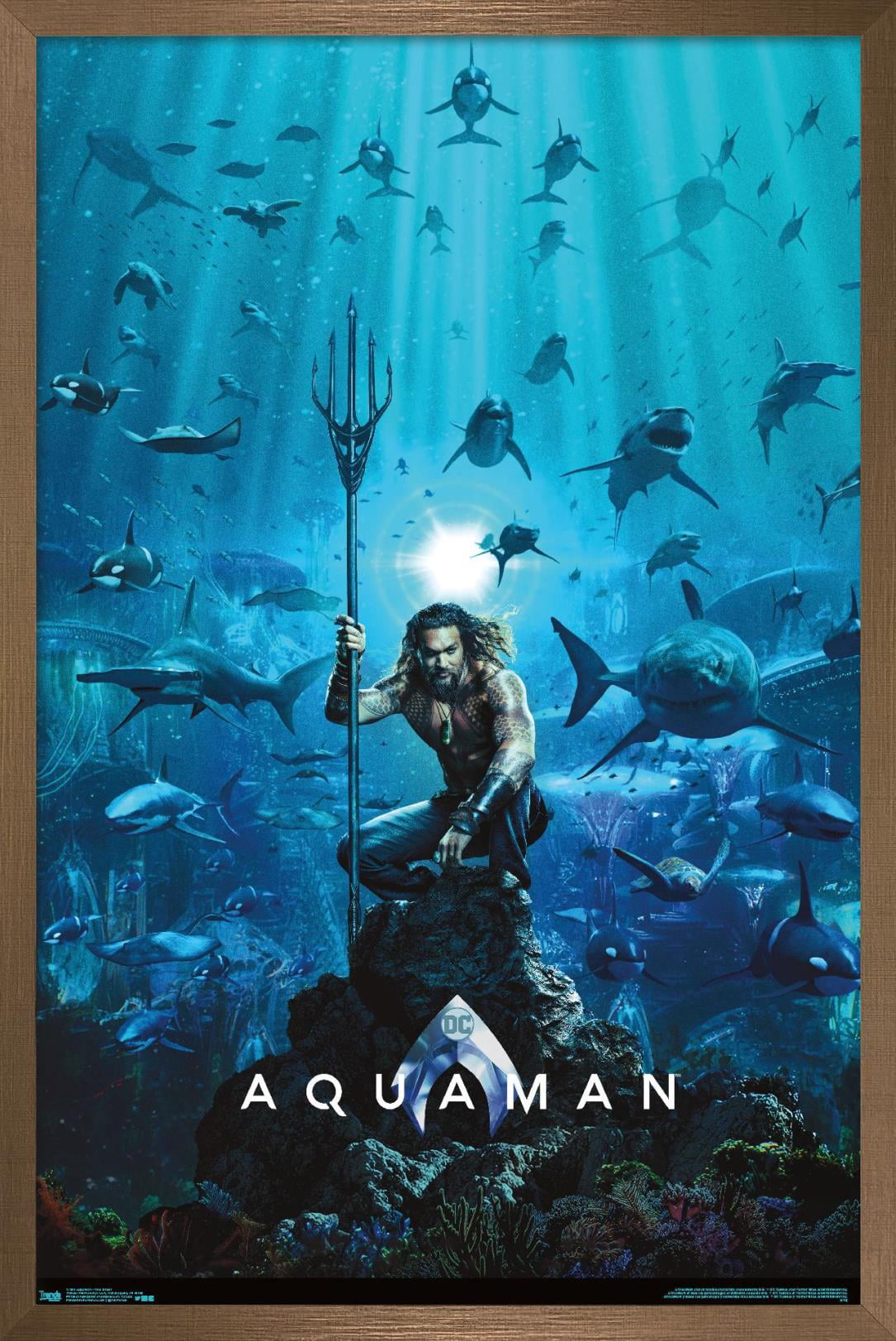 DC Comics Movie - Aquaman - One Sheet Wall Poster, 14.725