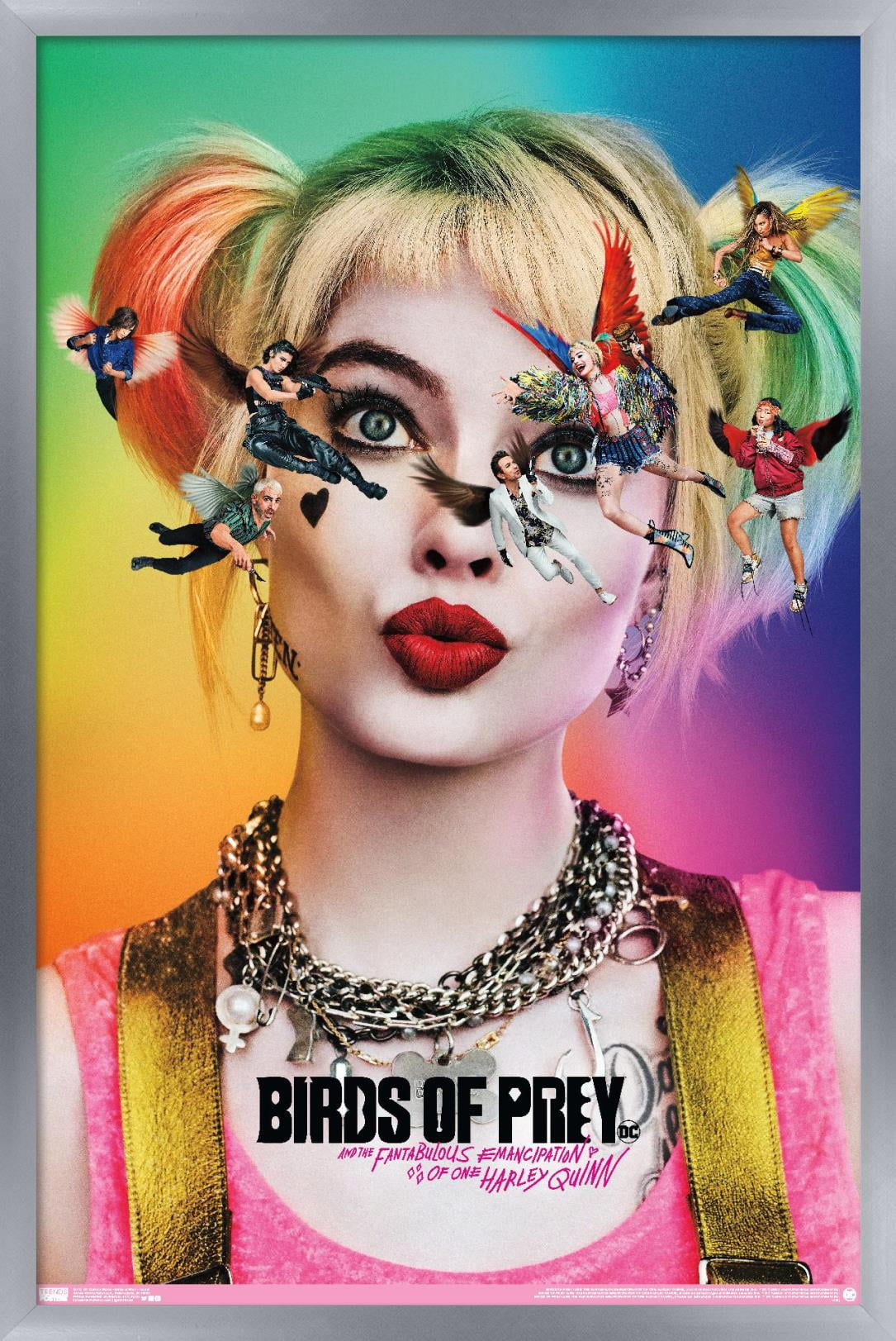 DC Comics Movie - Birds Of Prey - Teaser Wall Poster, 14.725" x 22.375", Framed