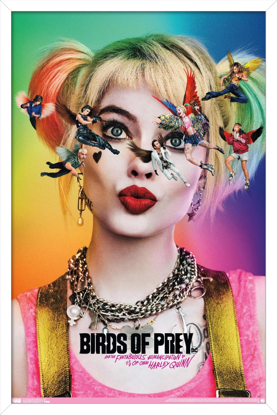 DC Comics Movie - Birds Of Prey - Teaser Wall Poster, 14.725" x 22.375", Framed