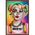 thumbnail image 1 of DC Comics Movie - Birds Of Prey - Teaser Wall Poster, 22.375" x 34", Framed, 1 of 2