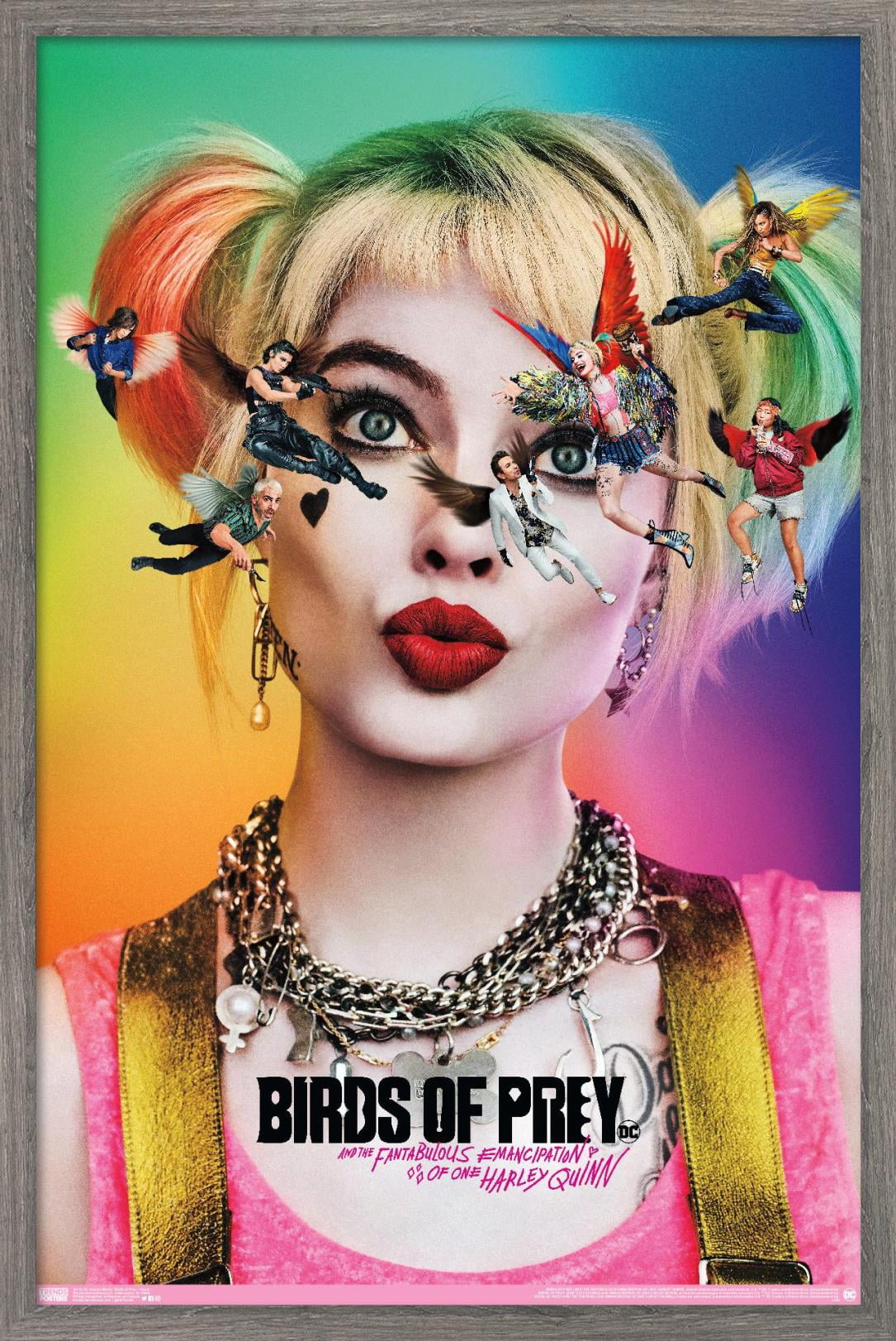 DC Comics Movie - Birds Of Prey - Teaser Wall Poster, 22.375" x 34", Framed