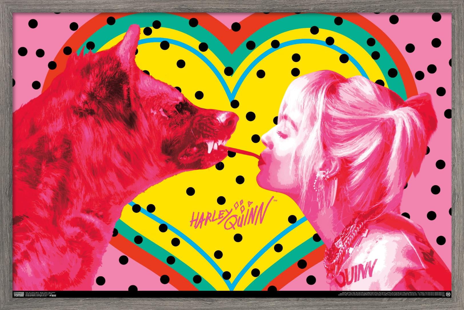 DC Comics Movie - Birds of Prey - Best Friend Wall Poster, 22.375" x 34", Framed