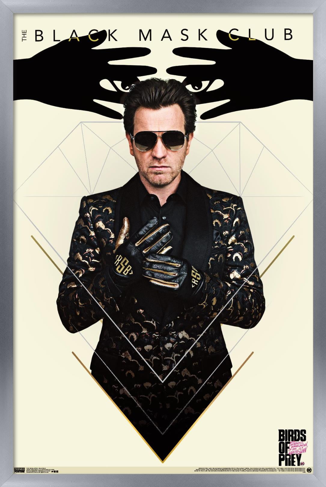 DC Comics Movie - Birds of Prey - Black Mask Wall Poster, 14.725" x 22.375", Framed