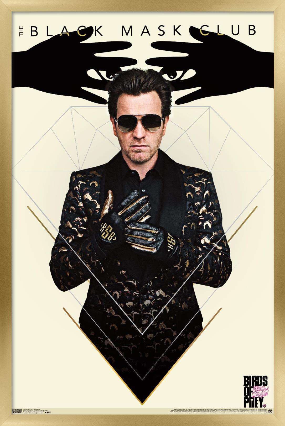 DC Comics Movie - Birds of Prey - Black Mask Wall Poster, 22.375" x 34", Framed