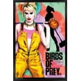 thumbnail image 1 of DC Comics Movie - Birds of Prey - Emancipation Poster, 1 of 6