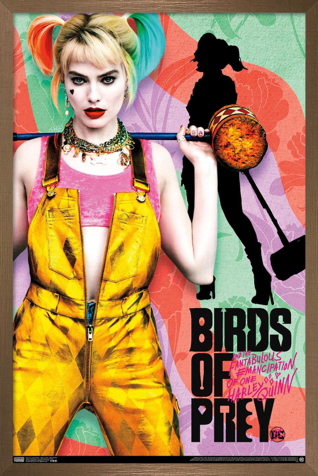 DC Comics Movie - Birds of Prey - Emancipation Wall Poster, 14.725" x 22.375", Framed