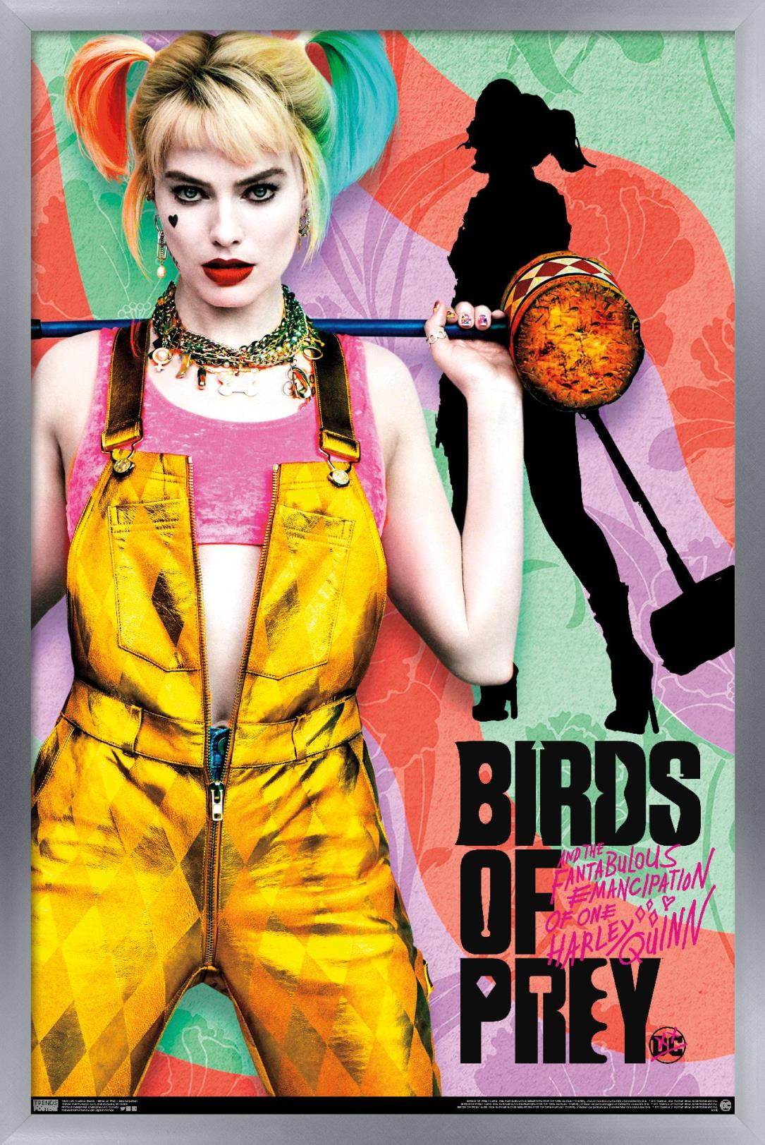 DC Comics Movie - Birds of Prey - Emancipation Wall Poster, 14.725" x 22.375", Framed