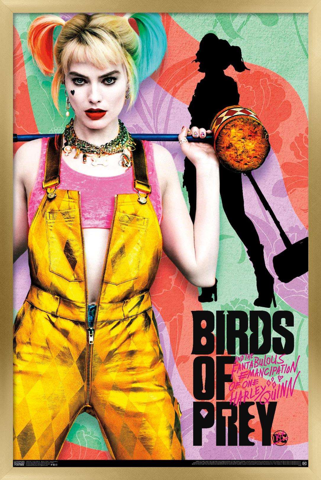 DC Comics Movie - Birds of Prey - Emancipation Wall Poster, 22.375" x 34", Framed
