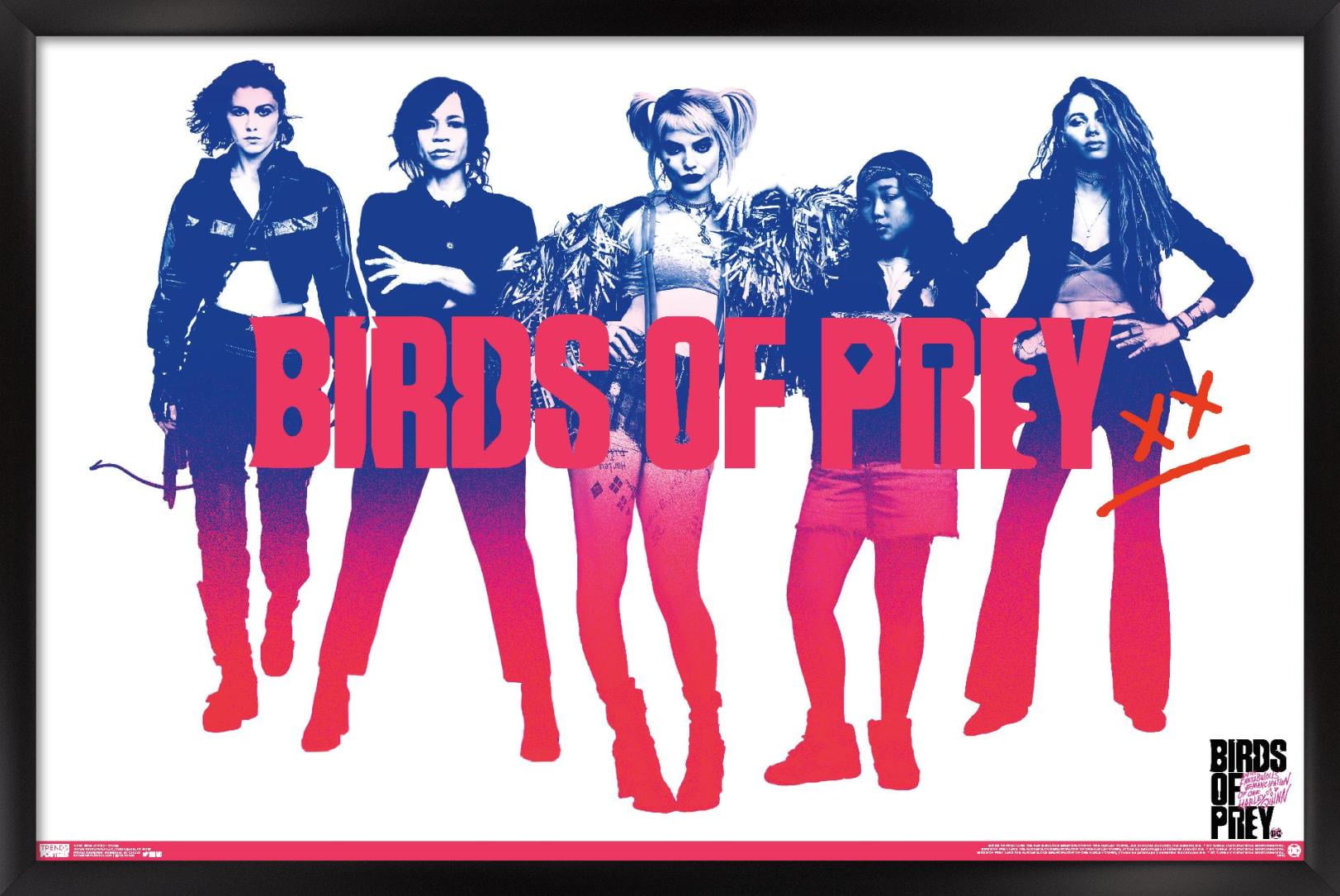 DC Comics Movie - Birds of Prey - Group Wall Poster, 22.375" x 34", Framed