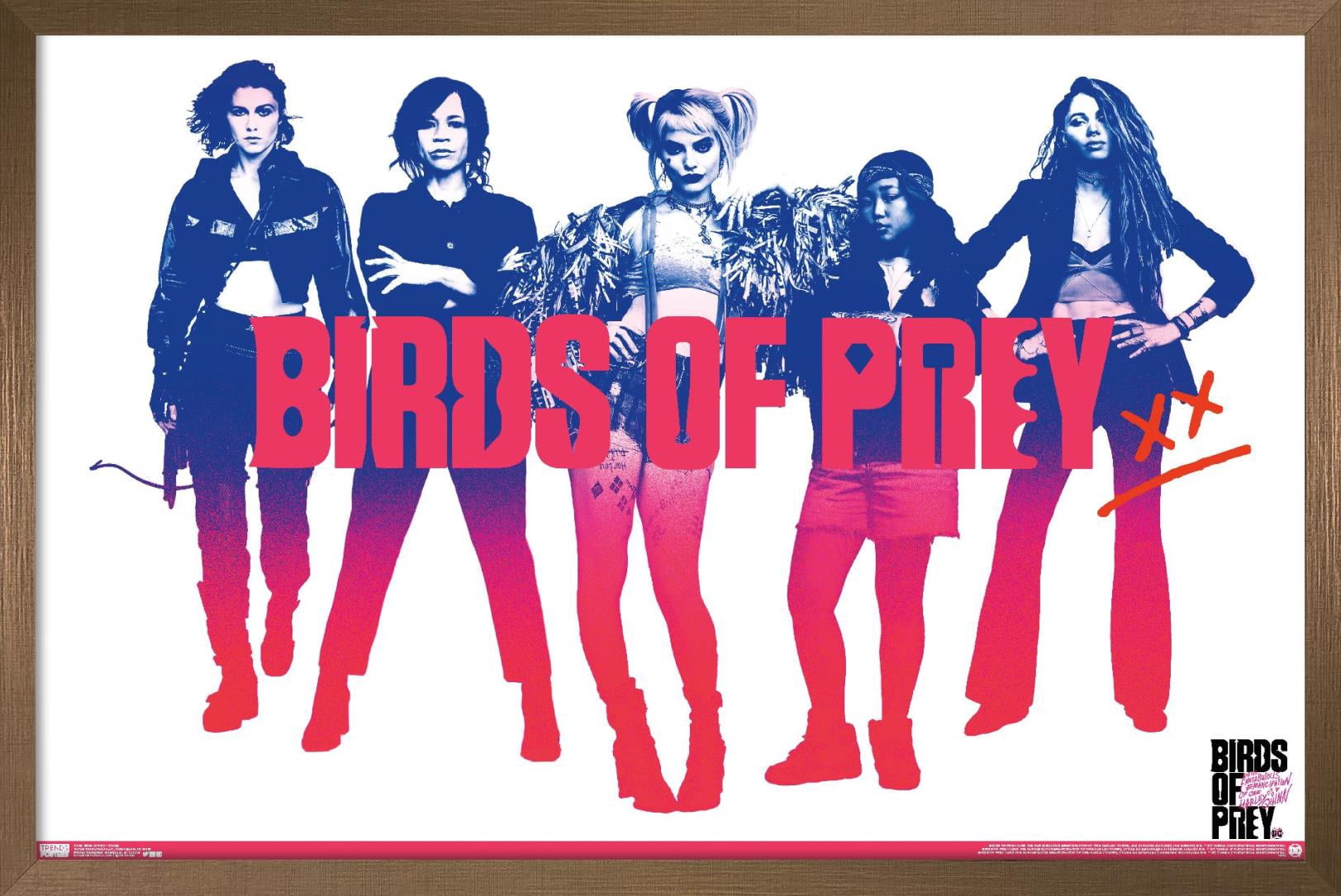 DC Comics Movie - Birds of Prey - Group Wall Poster, 22.375" x 34", Framed
