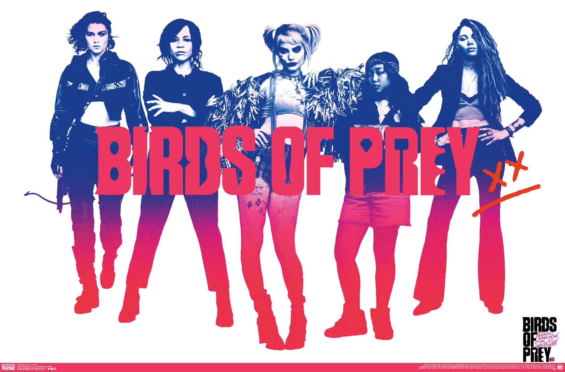 DC Comics Movie - Birds of Prey - Group Wall Poster, 22.375" x 34"