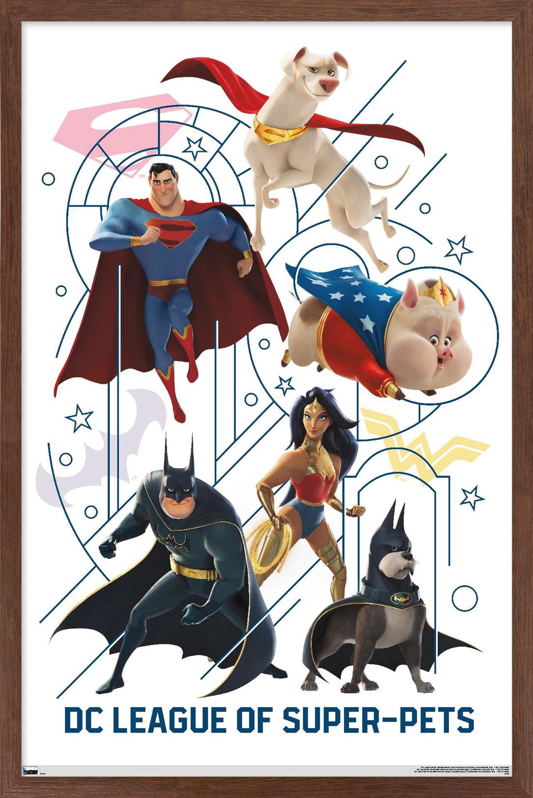 DC Comics Movie DC League Of Super-Pets - Counterparts Wall Poster, 14.725" x 22.375" Framed