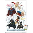 thumbnail image 1 of DC Comics Movie DC League Of Super-Pets - Counterparts Wall Poster, 22.375" x 34", 1 of 5