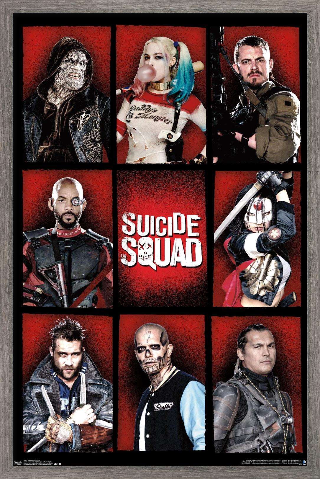DC Comics Movie - Suicide Squad - Grid Wall Poster, 14.725" x 22.375", Framed
