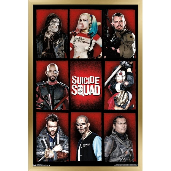 DC Comics Movie - Suicide Squad - Grid Wall Poster, 14.725" x 22.375", Framed