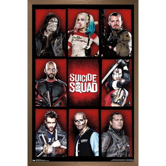 DC Comics Movie - Suicide Squad - Grid Wall Poster, 22.375" x 34", Framed