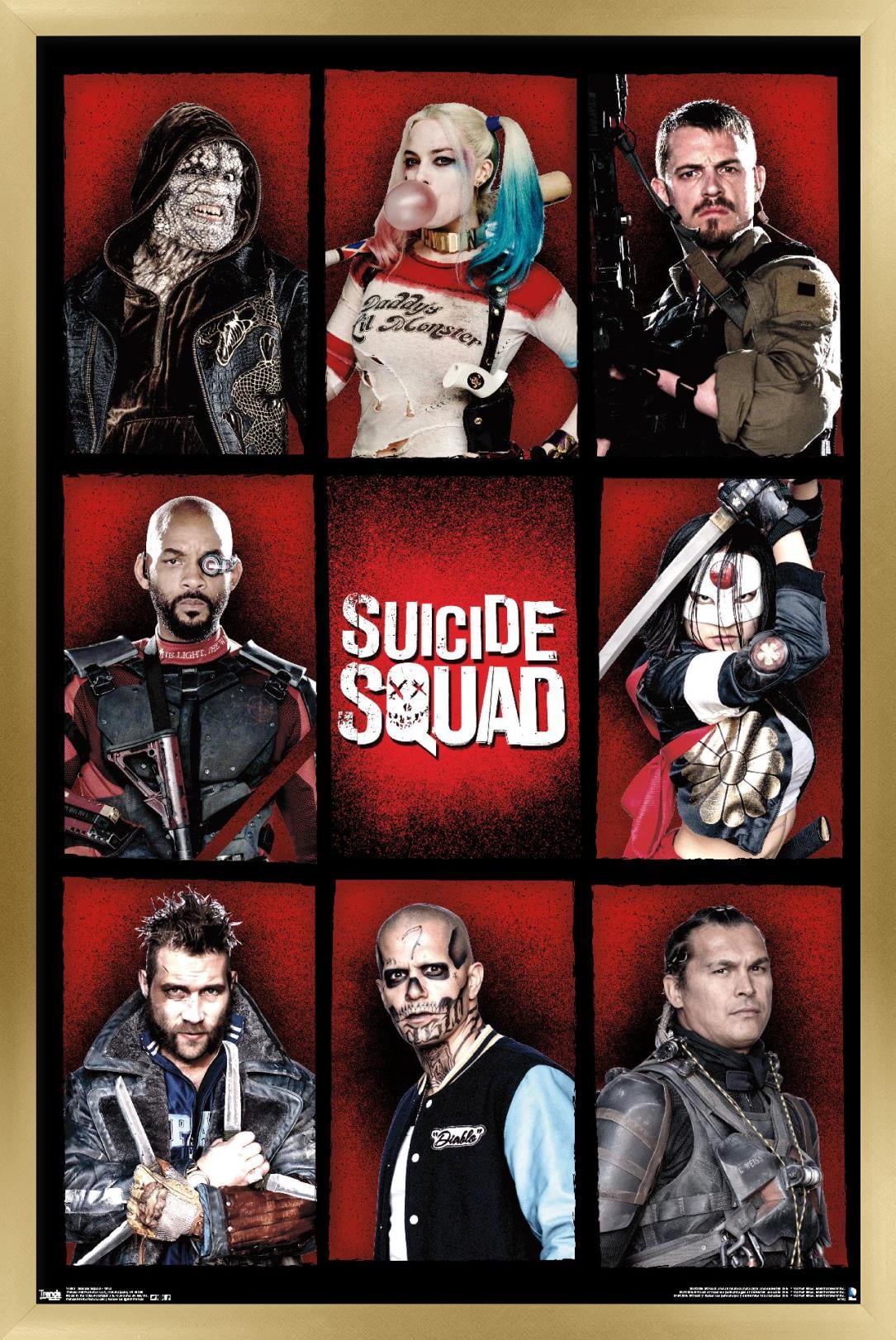 DC Comics Movie - Suicide Squad - Grid Wall Poster, 22.375" x 34", Framed