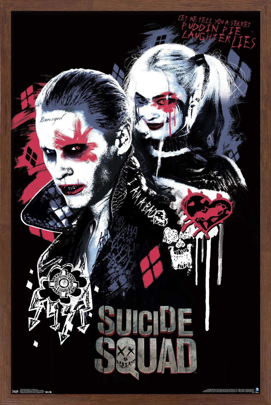 DC Comics Movie - Suicide Squad - Twisted Love Wall Poster, 14.725" x 22.375", Framed