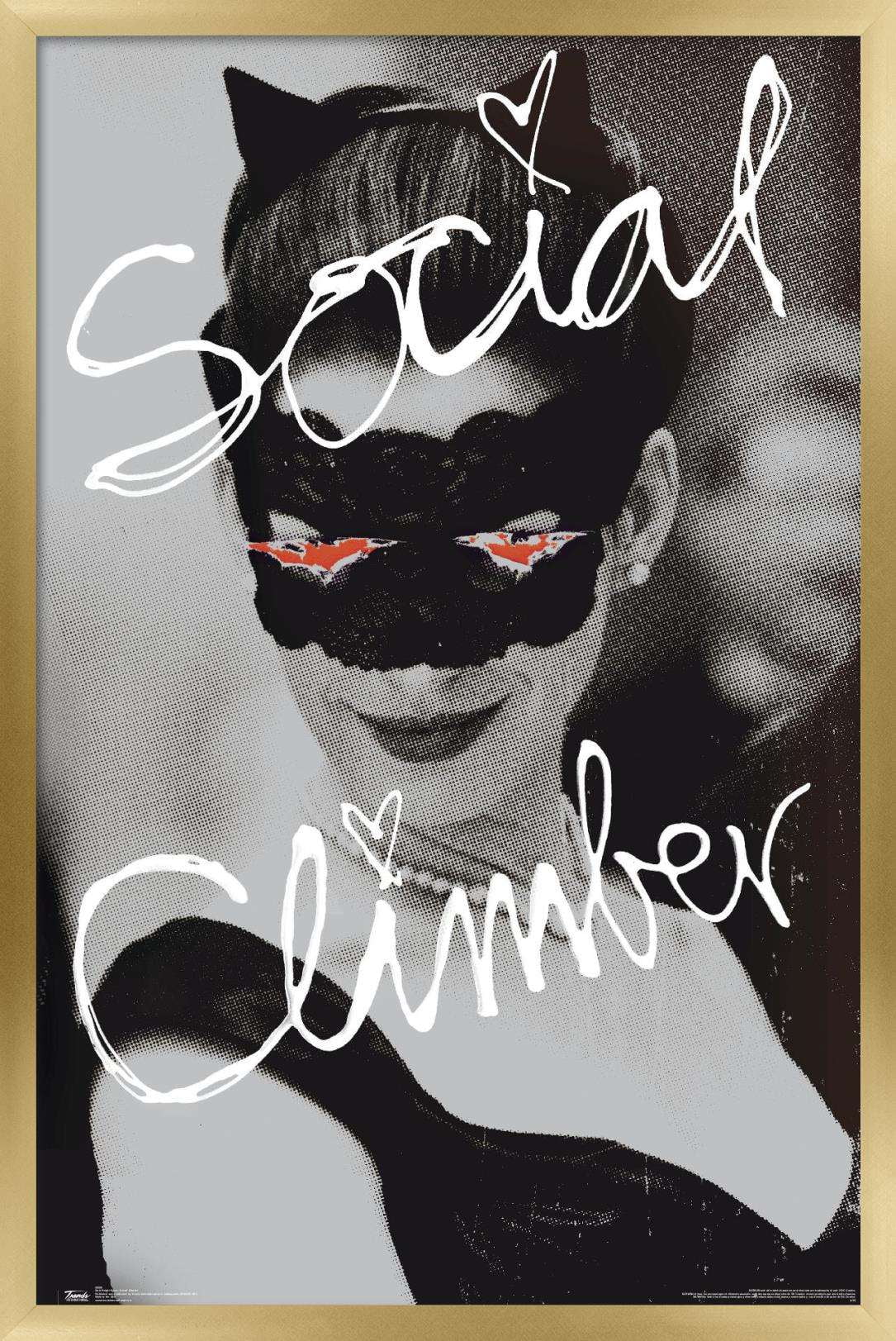 DC Comics Movie - The Dark Knight Rises - Catwoman - Social Climber Wall Poster, 14.725" x 22.375", Framed