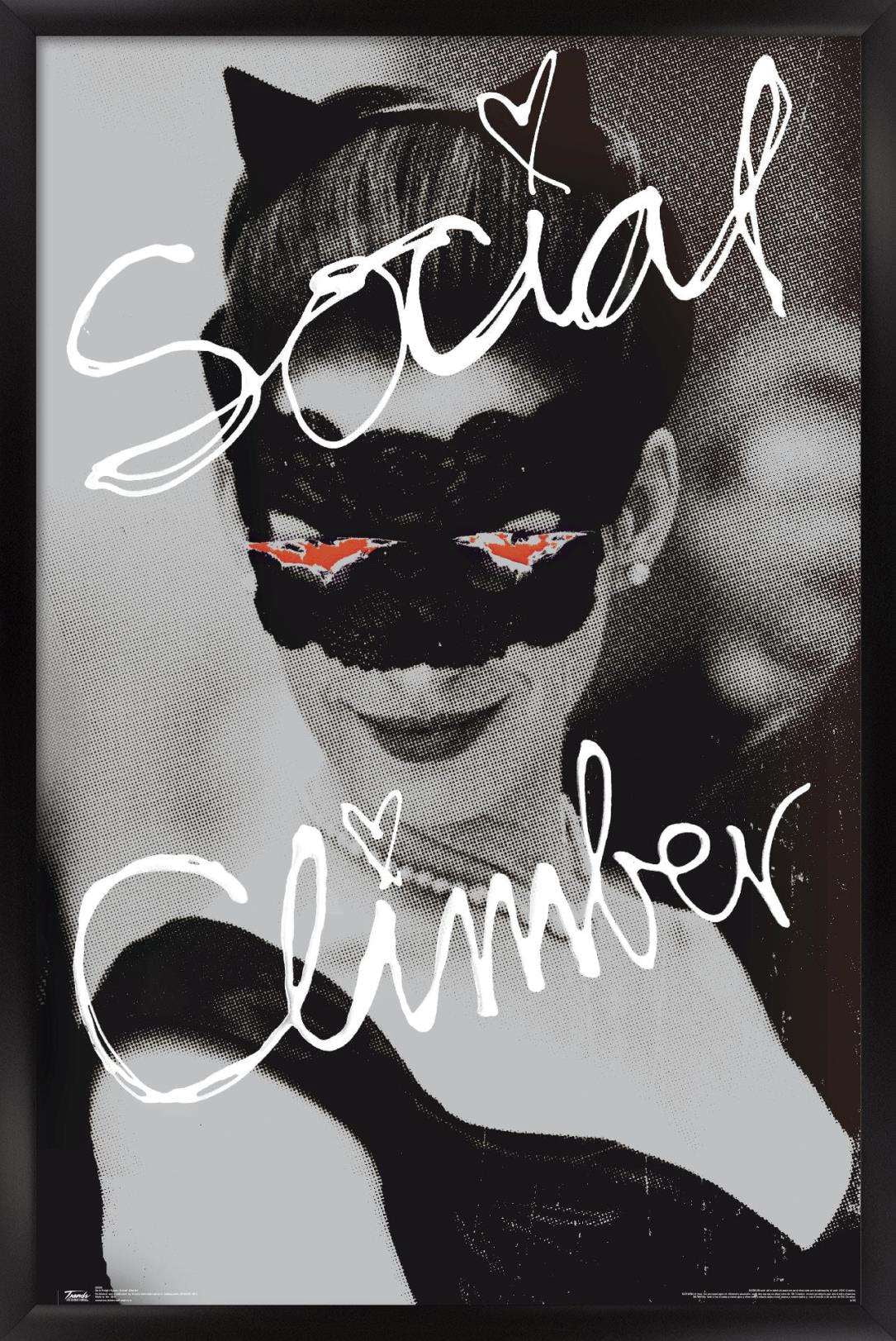 DC Comics Movie - The Dark Knight Rises - Catwoman - Social Climber Wall Poster, 14.725" x 22.375", Framed