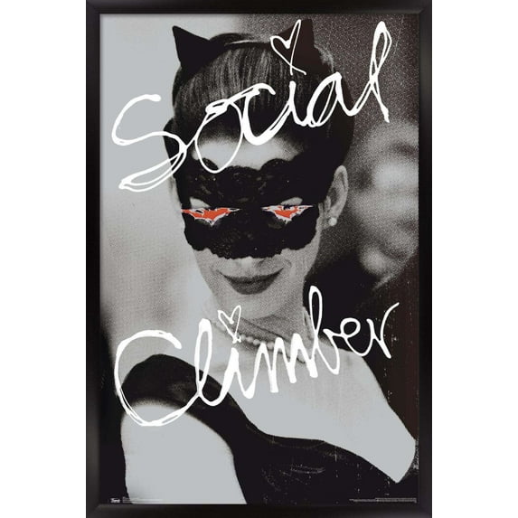 DC Comics Movie - The Dark Knight Rises - Catwoman - Social Climber Wall Poster, 14.725" x 22.375", Framed