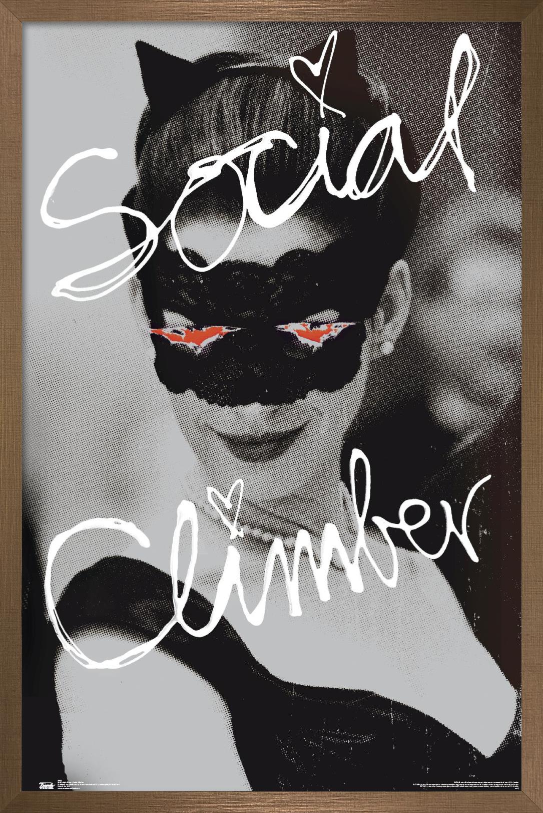 DC Comics Movie - The Dark Knight Rises - Catwoman - Social Climber Wall Poster, 14.725" x 22.375", Framed