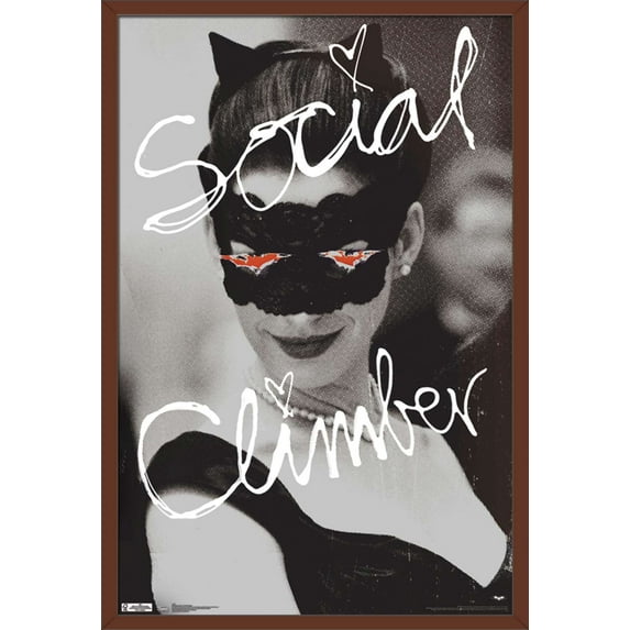DC Comics Movie - The Dark Knight Rises - Catwoman - Social Climber Wall Poster, 22.375" x 34", Framed