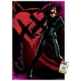 thumbnail image 1 of DC Comics Movie - The Dark Knight Rises - Catwoman Wall Poster with Push Pins, 22.375" x 34", 1 of 6