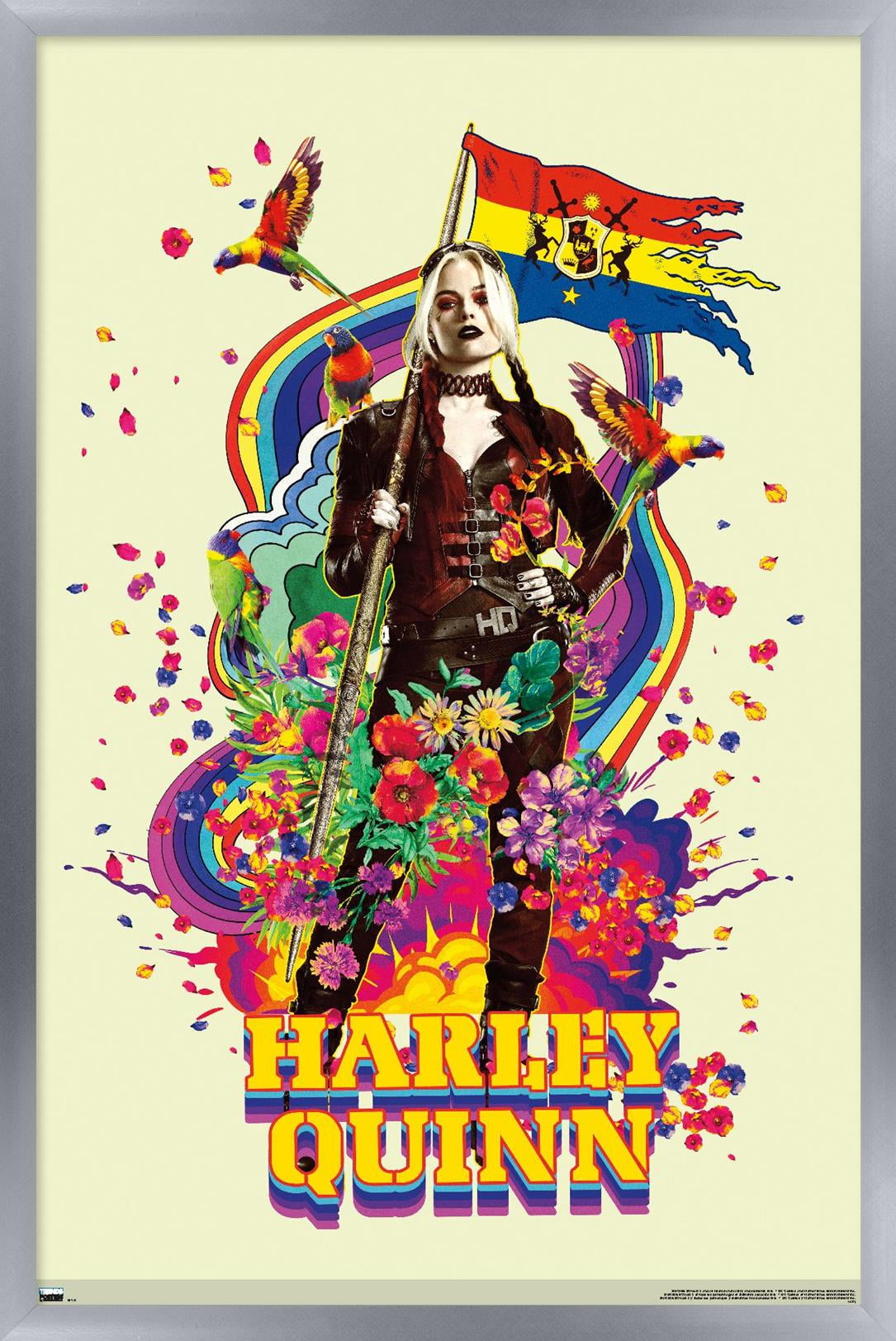 DC Comics Movie The Suicide Squad - Harley Quinn Wall Poster, 22.375" x 34", Framed