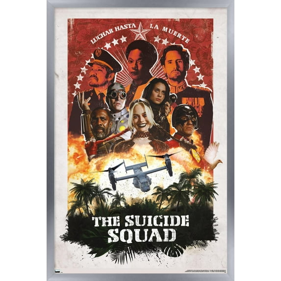 DC Comics Movie The Suicide Squad - Plane Group Wall Poster, 14.725" x 22.375", Framed