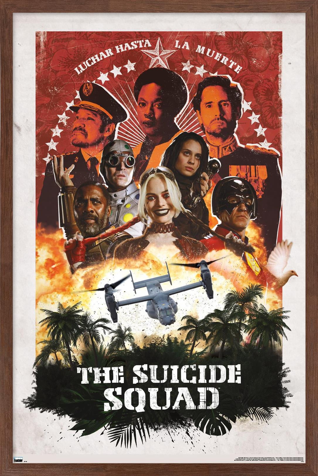 DC Comics Movie The Suicide Squad - Plane Group Wall Poster, 14.725" x 22.375", Framed