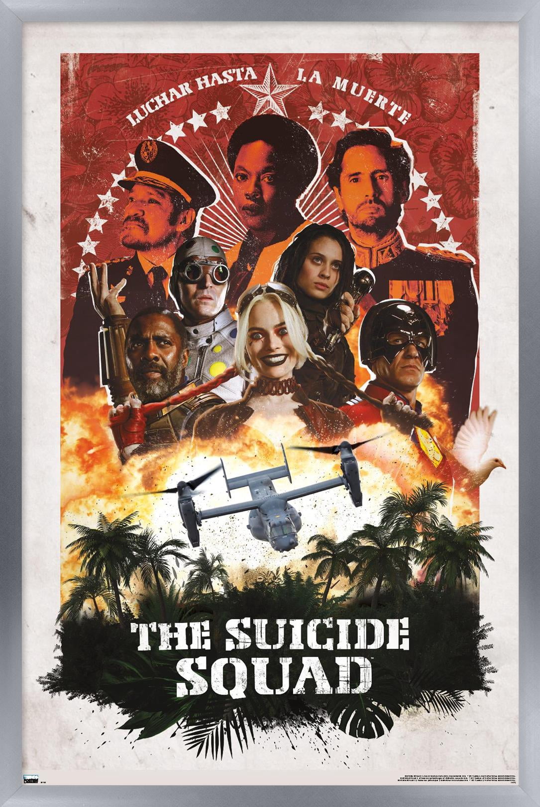 DC Comics Movie The Suicide Squad - Plane Group Wall Poster, 22.375" x 34", Framed