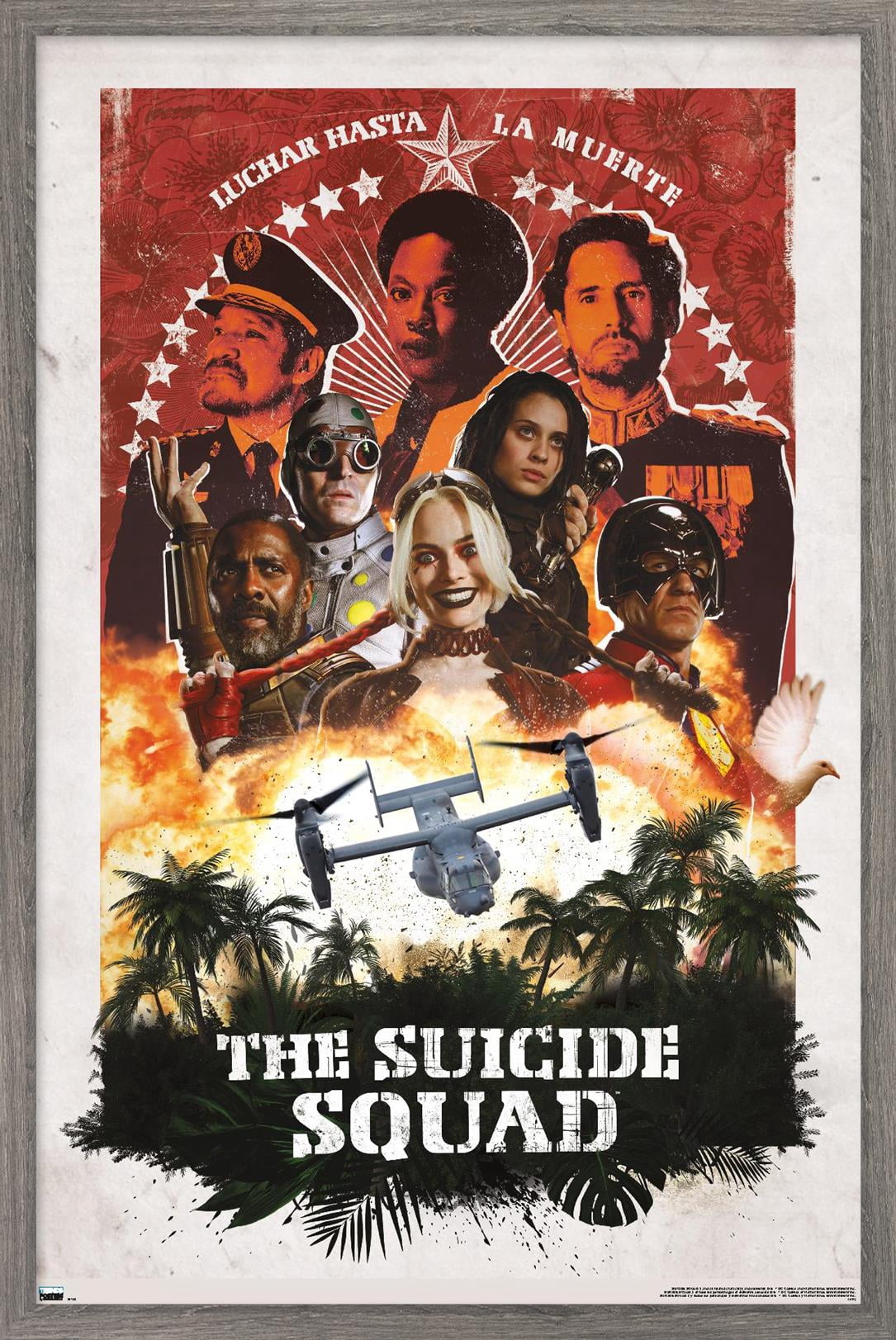 DC Comics Movie The Suicide Squad - Plane Group Wall Poster, 22.375" x 34", Framed