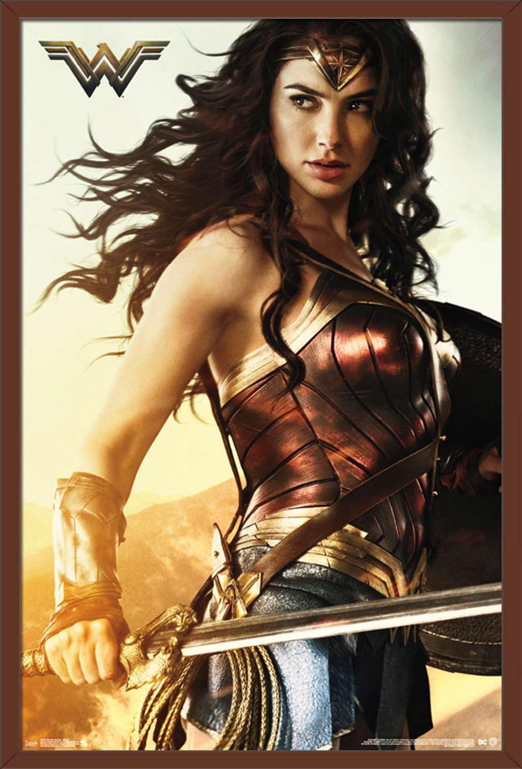 DC Comics Movie - Wonder Woman - Shield Wall Poster, 22.375" x 34", Framed