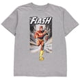 thumbnail image 1 of DC Comics Officially Licensed The Flash Superhero Boys T-Shirt for Kids, 1 of 3