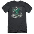 thumbnail image 1 of DC Comics Ring Rays S/S Adult 30/1 T-Shirt Charcoal, 1 of 1
