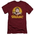thumbnail image 1 of DC Comics Shazam Circle S/S Adult 30/1 T-Shirt-Cardinal, 1 of 1