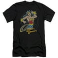 thumbnail image 1 of DC Comics Spinning S/S Adult 30/1 T-Shirt Black, 1 of 1