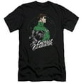 thumbnail image 1 of DC Comics Star Gazer S/S Adult 30/1 T-Shirt Black, 1 of 1