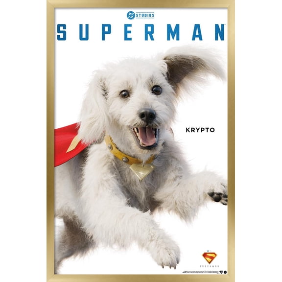 DC Studios Superman (2025) - Krypto Feature Series Wall Poster, 14.725" x 22.375" Framed