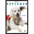 thumbnail image 1 of DC Studios Superman (2025) - Krypto Feature Series Wall Poster, 22.375" x 34" Framed, 1 of 5