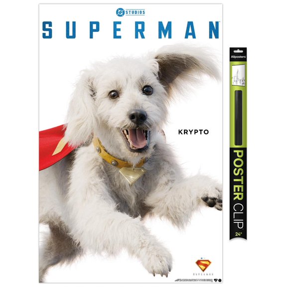 DC Studios Superman (2025) - Krypto Feature Series Wall Poster, 22.375" x 34"