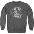 thumbnail image 1 of DC Comics Team Adult Crewneck Sweatshirt Charcoal, 1 of 1