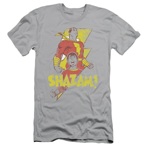 DC Comics Transformation S/S Adult 30/1 T-Shirt Silver