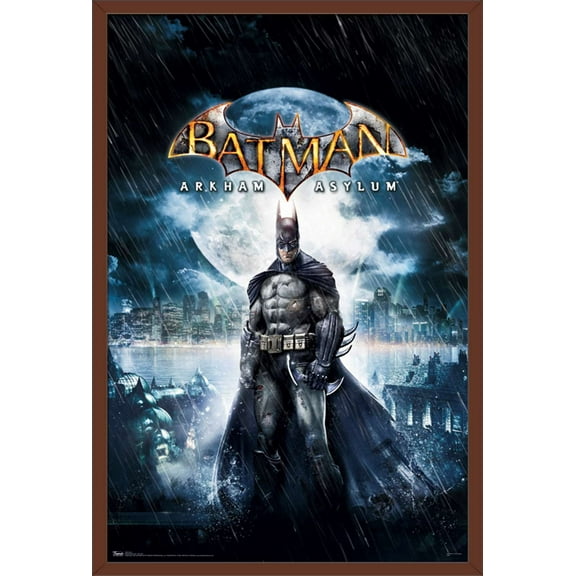 DC Comics Video Game - Arkham Asylum - Key Art Poster