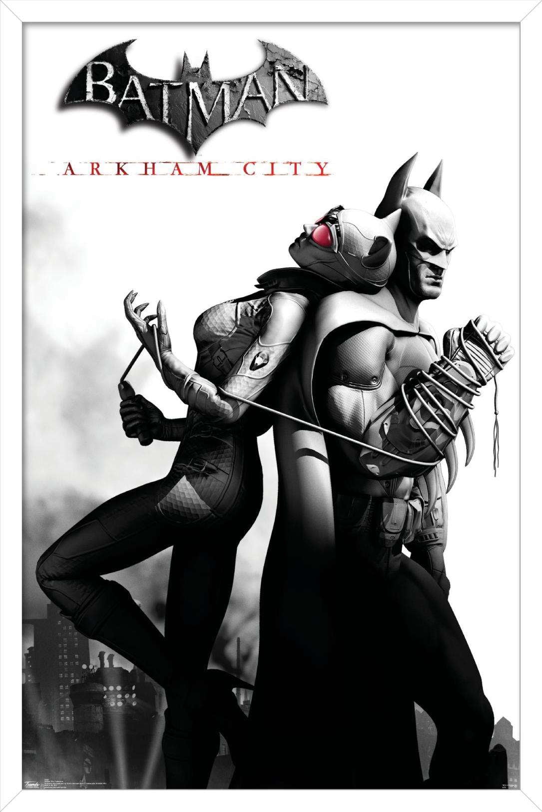 DC Comics Video Game - Arkham City - Catwoman Wall Poster, 14.725" x 22.375", Framed