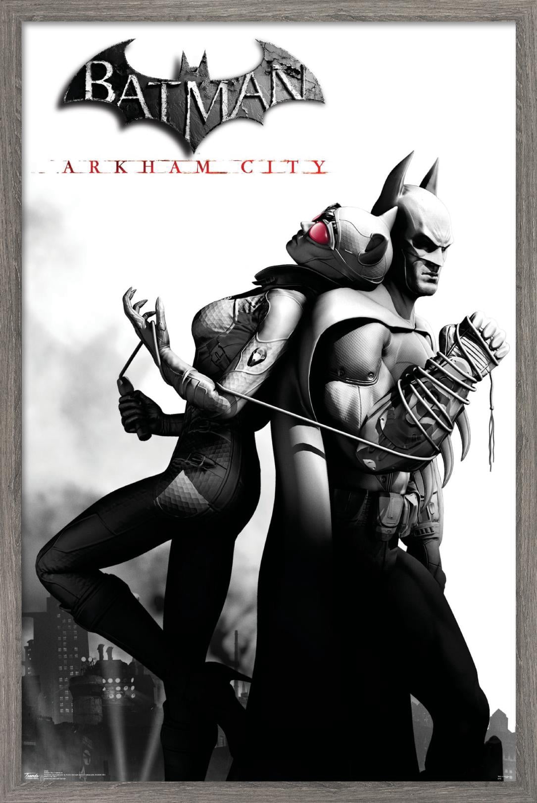 DC Comics Video Game - Arkham City - Catwoman Wall Poster, 14.725" x 22.375", Framed
