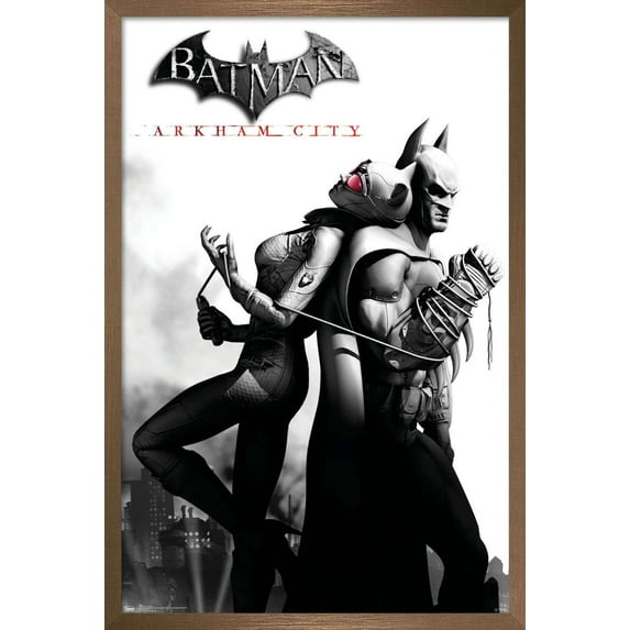 DC Comics Video Game - Arkham City - Catwoman Wall Poster, 22.375" x 34", Framed